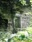 Mur de château en ruine, près de Besançon...