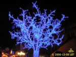 Place Gutemberg, l'arbre bleu